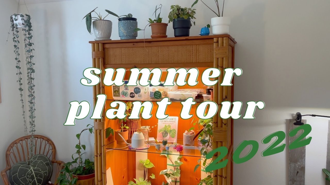 Summer Houseplant Tour 2022 | entire houseplant collection, rare & common plants, jofamy planter