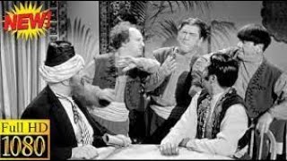 The 3 Stooges 1956 - Rumpus in the Harem 