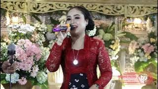 PRING KUNING //MBAK NING//ALROSTA DONGKREK //JANGKAR AUDIO//TRESNO PUTRO VIDEO HD..