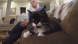Cancer-detecting cat saves owner's life