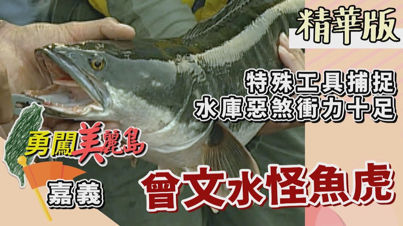 【勇闖美麗島】曾文水怪 搏鬥惡煞魚虎（海底蛟龍王文瑞／僅雯意外落水／釣魚虎 與魚虎僵持20分鐘） │2000.11.22│ 22集精華版
