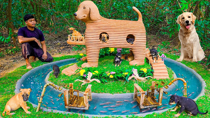 Building a Dog House for Rescue Puppies – Heartwarming Story!