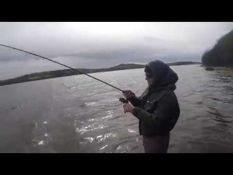donegal trout fishing sea