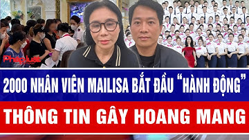 2000 nhân viên Mailisa hiện tại bắt đầu “hành động” thông tin gây hoang mang