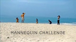 Mannequin Challenge Beach Video India | New Year 2017