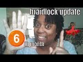 Braidlock Journey:  6th MTH BRAIDLOCK UPDATE!