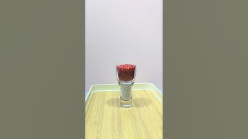 funny reverse video! #shorts #shortsvideo #reverse