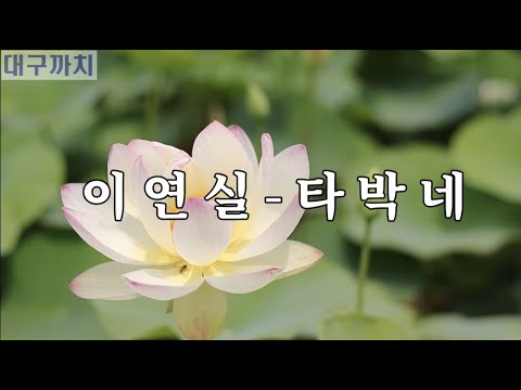 이연실 - 타박네