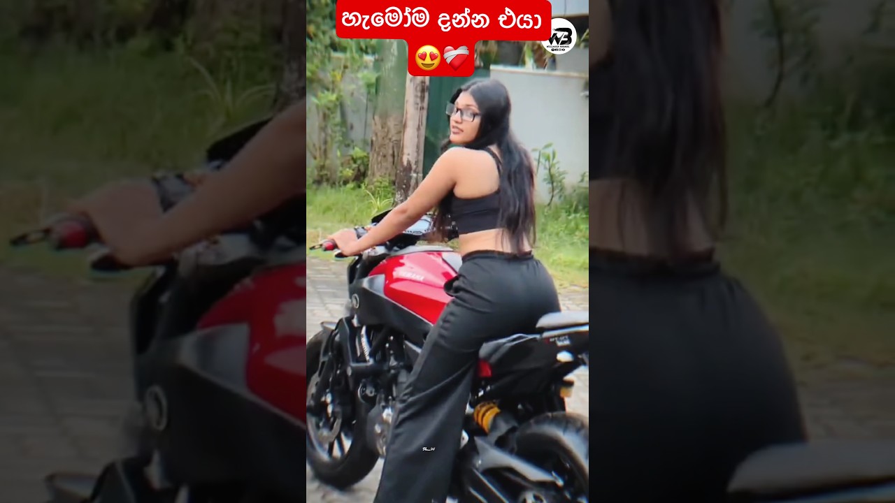 හැමෝම දන්න එයා .🤗💝"Srilanka Bike Stunt #trending #fypシ #foryou #highlights #support #shortsfeed