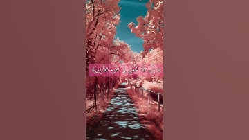 ﴿ قُل رَّبِّ إِمَّا تُرِيَنِّي مَا يُوعَدُونَ﴾ الآية 93 من سورة المؤمنون ‏ستوري ديني بصوت رعد الكردي