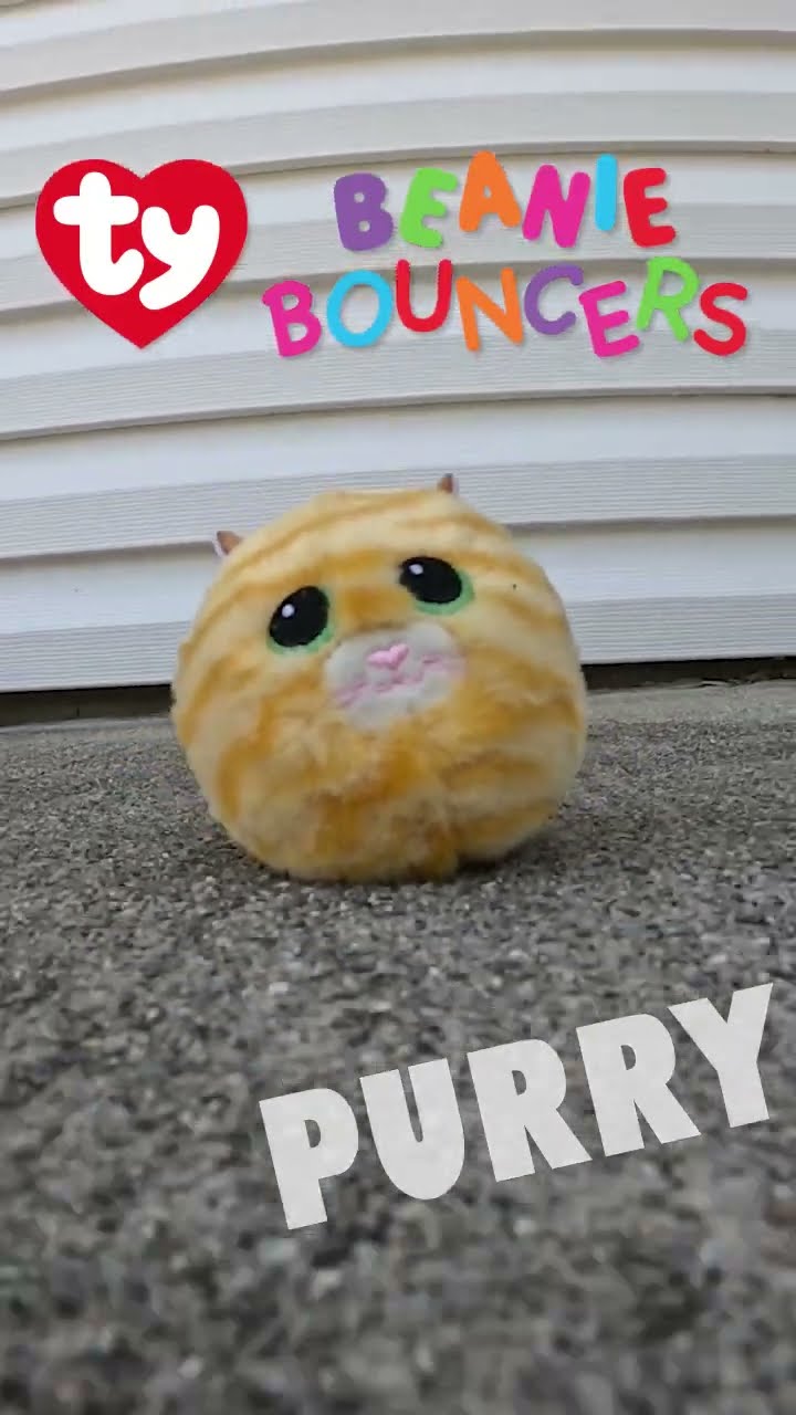 Meet Purry - Ty Beanie Bouncers