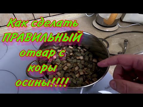 Как сделать ПРАВИЛЬНЫЙ отвар с КОРЫ ОСИНЫ!!!!