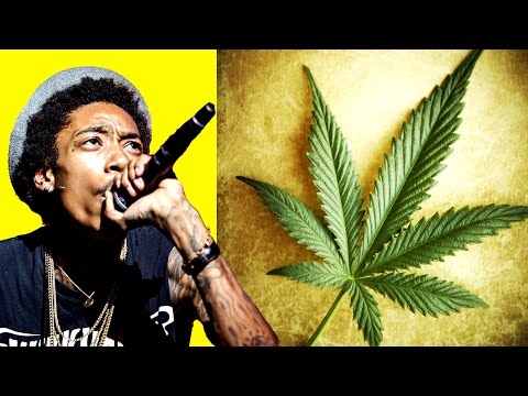 8 Schnelle Fakten über Wiz Khalifa!