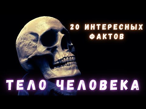 Что может Человеческое тело \ Интересные факты @people_and_space