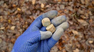 Yet Another Strange Coin Spill - PART 2 - Coin Rolls
