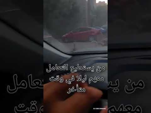 ازمه التعامل مع الكلاب الضاله