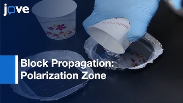 Merging Ion Concentration Polarization Between Juxtaposed Ion Exchange Membranes l Protocol Preview