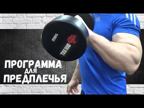 Как часто можно тренировать предплечья