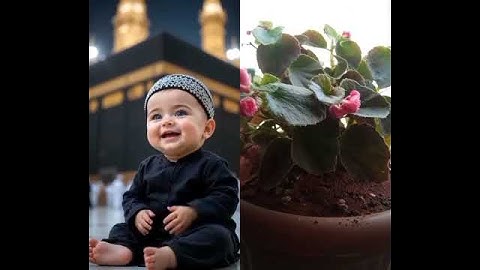 طفل يقراء سورة الإخلاص #زكاء الاصطناعي #اكسبلور #لايك #ترند