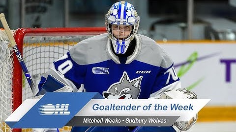 Wolves’ Mitchell Weeks Named OHL Goaltender of the Week