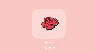 Download No Copyright Music | Blossom | Aesthetic Kawaii Cute Relax Chill Bgm Music Video MP3 No Copyright Music | Blossom | Aesthetic Kawaii Cute Relax Chill Bgm Music