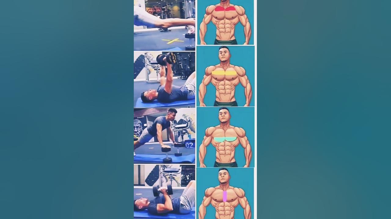 best of chest exercise 🤯😱 fitness viral YouTube