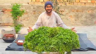 Chicken Coriander Recipe|by Shahzaib|دھنیا گوشت ریسپی|Dhaniya Gosht|Food In Village