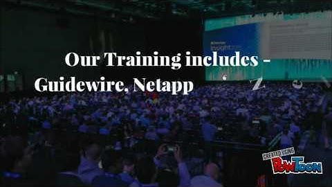 Professional Guidewire training