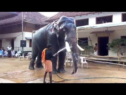Big and beautiful.com
