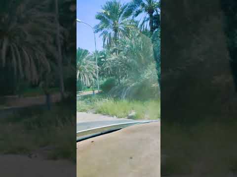زرت نيابة الحوقين في ولاية الرستاق العمانية وهذا الي شفته 19 9