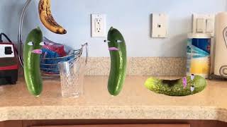 Why Was The Cucumber Upset?