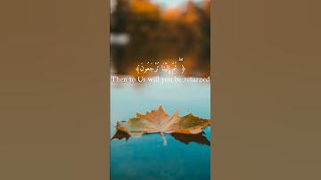 كل نفس ذائقة الموت للقاريء الشيخ(عبد الرحمن مسعد) [ #سورة_العنكبوت ]!!..سورة العنكبوت آية(56)إلى(58)