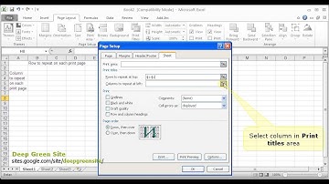 MS Excel 2010 / How to print rows/columns on every page as title