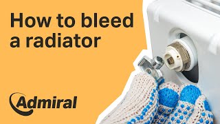 How to bleed a radiator | Admiral UK