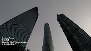 Century Avenue  Lujiazui  Pudong  Shanghai, China | 世纪大道  陆家嘴  浦东  中国上海