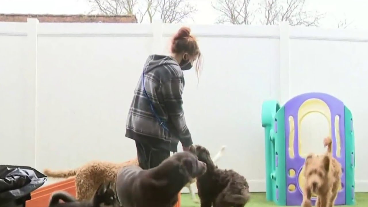 Local business offers employees incentives to get vaccinated