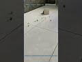Bathroom Floor Slope Test: Check Drainage with Marbles