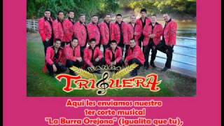 Banda Triguera-La Burra Orejona (Igualita Que Tu)