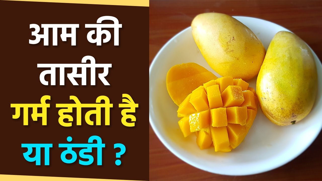 आम की तासीर गर्म या ठंडी आम तासीर कैसी होती है Aam Ki Tasir Thanda