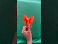 Why Is Everyone Folding This Paper Fox? 👀🦊