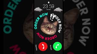 Hello Are Your There? EP 16 | funny #iphonekeypad #ringtone #cutecat #cat