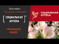 Рекламное видео для сети аптек "Социальная аптека"