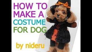 犬のハロウィンの仮装の手作り方法は ダイソーでも買えるの Hotdog ミニチュアダックスフンドブログ