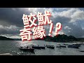 【Fit魷Chill住行】05 - 鲛魷奇緣！？