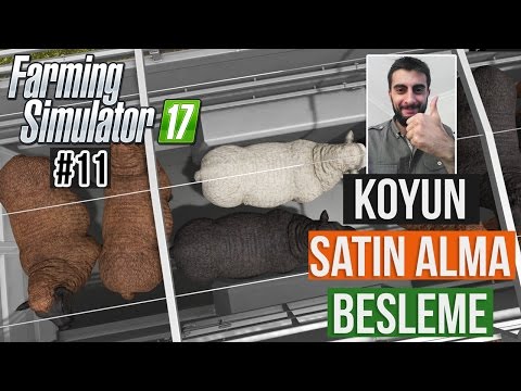 Farming Simulator 17 - KOYUN SATIN ALMA BESLEME REHBERİ 11. Bölüm