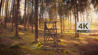 Cinematic FPV Footage with lofi beats to relax/study to  - Relaxation Film screenshot 5