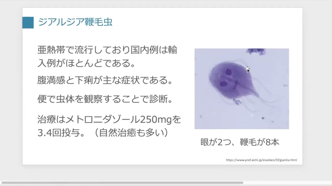 【まとめ】寄生虫【その他１】