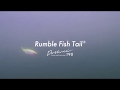 Rumble Fish Tail  Swim