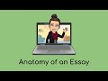 The anatomy of an essay