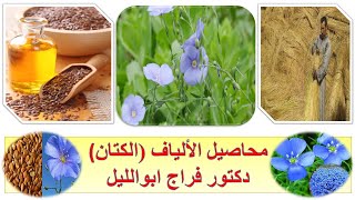 السكشن الثاني/ محاصييل الألياف (الكتان)/ إنتاج محاصيل